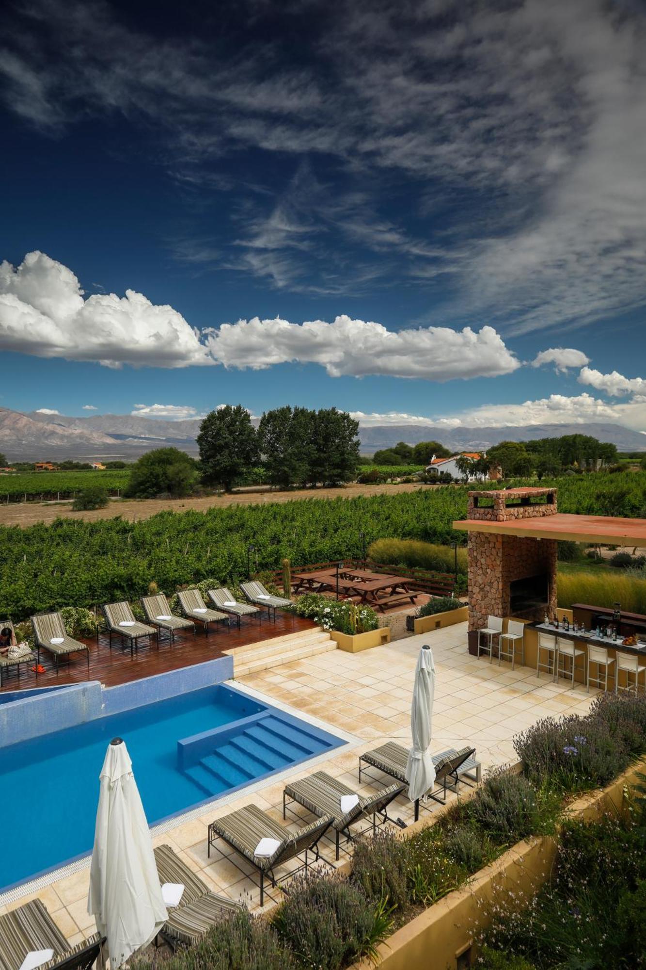 Hotel Grace Cafayate Exteriér fotografie A vineyard in the Uco Valley